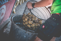 Aardappelbewaring inschuren bij van den Borne aardappelen