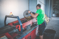 Aardappelbewaring inschuren bij van den Borne aardappelen