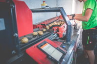 Aardappelbewaring inschuren bij van den Borne aardappelen