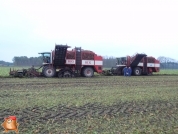 Bieten rooien bij van den Borne aardappelen