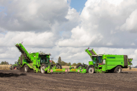 Aardappelenrooien bij van den Borne Aardappelen.