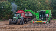 Aardappelenrooien bij van den Borne Aardappelen.