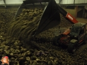 Sugar beets harvest at van den Borne aardappelen