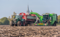 Aardappelenrooien bij van den Borne Aardappelen.