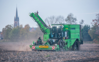 Aardappelenrooien bij van den Borne Aardappelen.