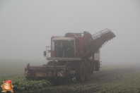 Bieten rooien bij van den Borne aardappelen