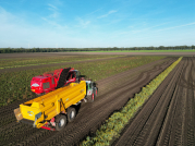 Bieten rooien bij van den Borne aardappelen