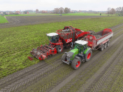 Bieten rooien bij van den Borne aardappelen