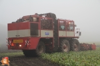 Bieten rooien bij van den Borne aardappelen