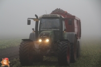 Bieten rooien bij van den Borne aardappelen