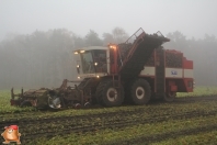 Bieten rooien bij van den Borne aardappelen