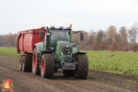 Bieten rooien bij van den Borne aardappelen