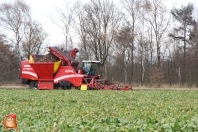 Bieten rooien bij van den Borne aardappelen