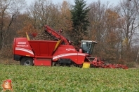 Bieten rooien bij van den Borne aardappelen