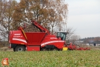 Bieten rooien bij van den Borne aardappelen