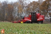 Bieten rooien bij van den Borne aardappelen