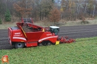 Bieten rooien bij van den Borne aardappelen