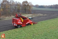 Bieten rooien bij van den Borne aardappelen