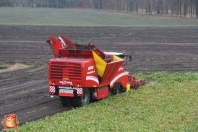 Bieten rooien bij van den Borne aardappelen