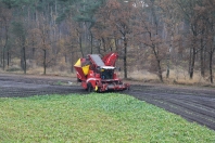 Sugar beets harvest at van den Borne aardappelen