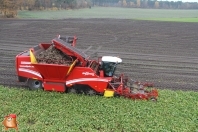 Bieten rooien bij van den Borne aardappelen