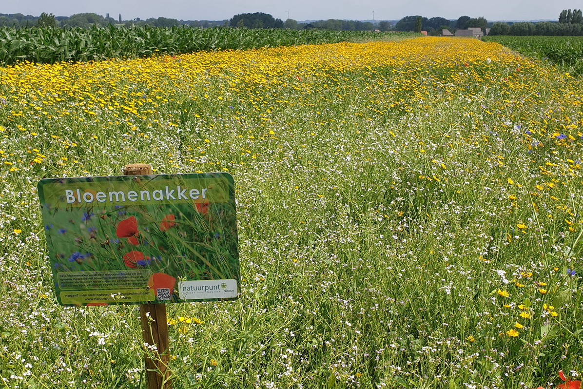 Biodiversität