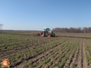  Fendt 818 met 6 meter Kongskilde cultivator