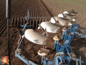 Pflügen bei van den Borne aardappelen