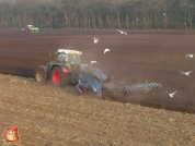 Fendt 820 met Lemken Varitansanit 7-schaar met vorrenpakker