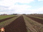 Spaten bei van den Borne aardappelen