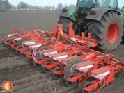 Sowing beets