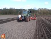 Fendt 818 met Accord bieten zaaimachine 