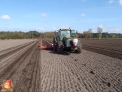 Fendt 818 met Accord bieten zaaimachine 