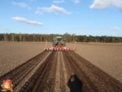 Sowing beets