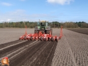 Fendt 818 met Accord bieten zaaimachine 