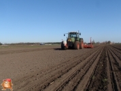 Fendt 818 met Accord bieten zaaimachine 