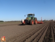 Fendt 818 met Accord bieten zaaimachine 