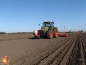 Fendt 818 met Accord bieten zaaimachine 