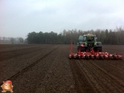 Fendt 818 met Accord bieten zaaimachine 