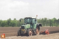 Planting potatoes