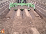 Fendt 716 met Netagco Speedridger