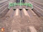 Fendt 716 met Netagco Speedridger