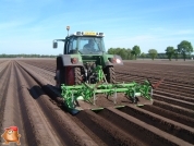 Planting potatoes