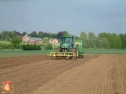 Planting potatoes