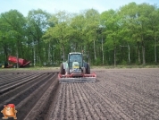 Fendt 820 met Hassia pootmachine