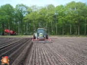 Fendt 820 met Hassia pootmachine