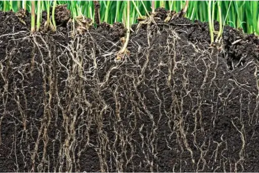 Soil investigation and analysis - BodemUP
